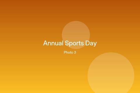 Annual Sports Day – photo 3